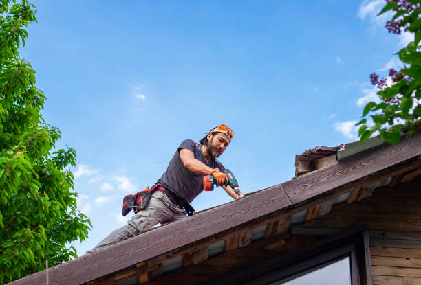 Best 4 Ply Roofing  in Pembroke Park, FL