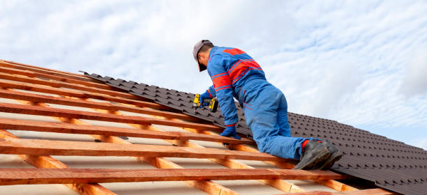 Best Roof Maintenance and Cleaning  in Pembroke Park, FL
