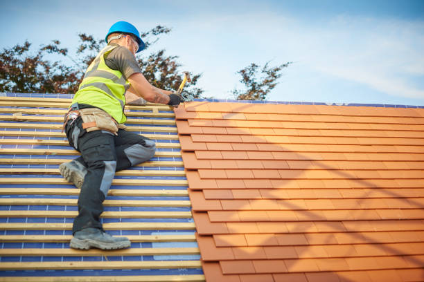 Best Steel Roofing  in Pembroke Park, FL